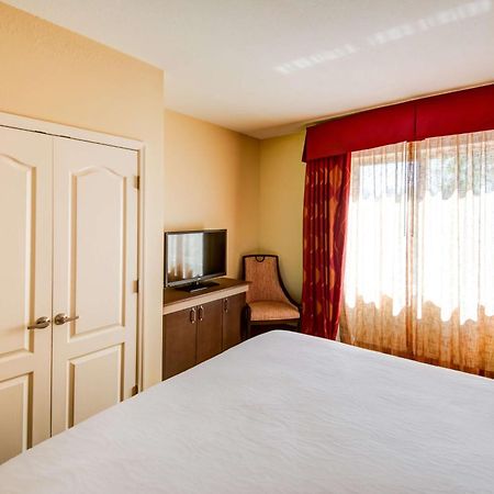 Hilton Garden Inn Tampa Ybor Historic District Eksteriør billede